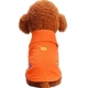 Pet quần áo chó cầu vồng mỏng thêu áo polo gấu Teddy Xiong Bomei quần áo vest mùa thu và mùa đông - Quần áo & phụ kiện thú cưng