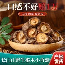 Northeast Yuka Shuyu Dry Card 500g Changbai Mountain Wild Hangbaihu Fungui Bulk Mushroom for Farmers