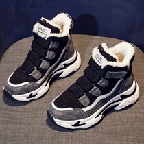 Hong Kong cotton shoes women wear winter plus velvet thickened net red old shoes womens super hot small white all-match thick-soled sneakers