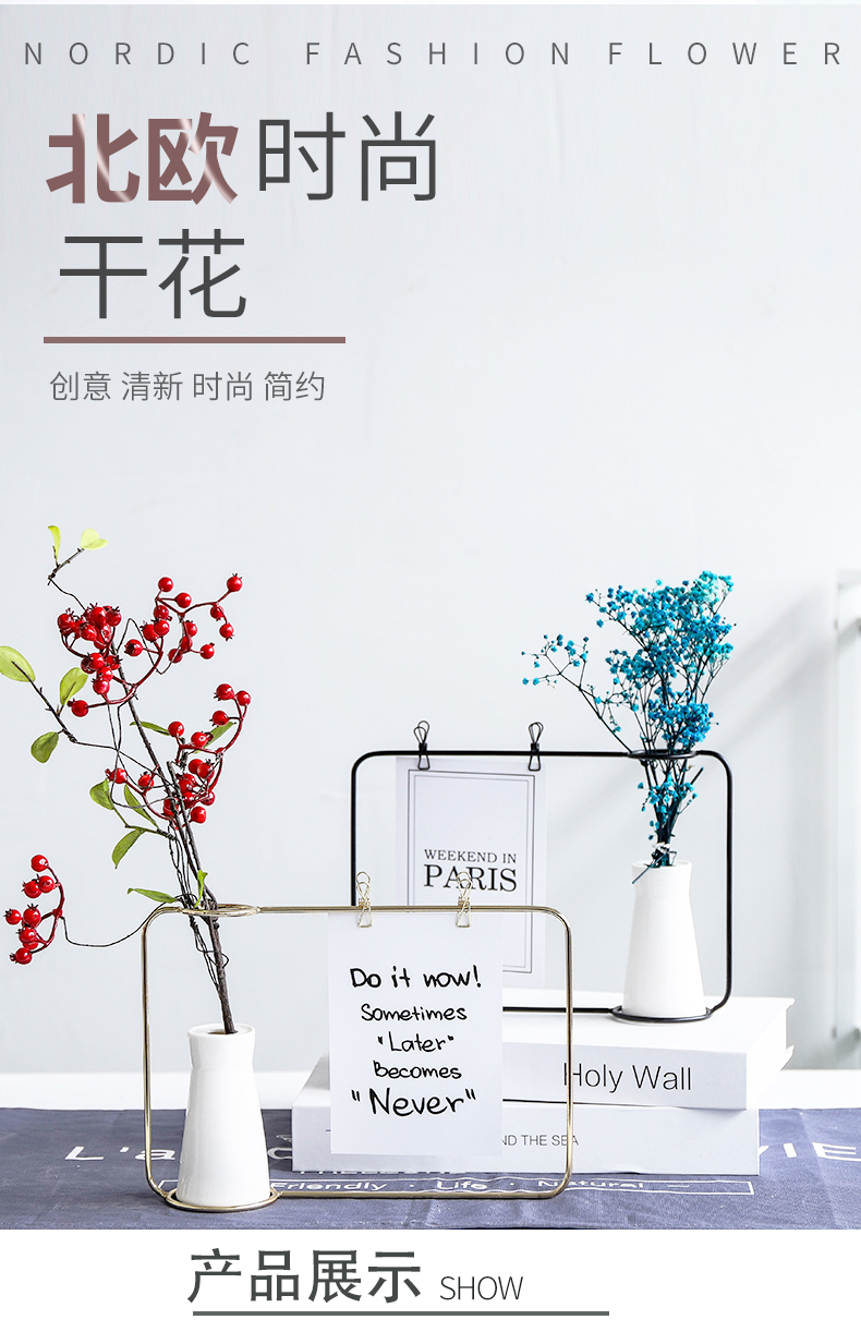 Ins Bắc Âu sáng tạo đơn giản rèn sắt khung hoa bình trang trí máy tính để bàn phòng khách tủ rượu trang trí phòng trang sức vật dụng dcor phòng ngủ