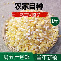 500g of sticky corn ballast produced by Northeast farmers in the new mill Jiamusi Glutinous sticky ballast bract rice ballast
