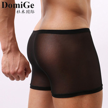 Mens sexy panties fully transparent fully exposed panties summer traceless ultra-thin sheer lace boxers summer riot