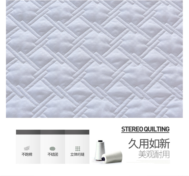 Giường bông 笠 đơn kháng khuẩn chống mạt bông dày Simmons bọc nệm mền bảo vệ - Trang bị Covers Mua ga phủ giường