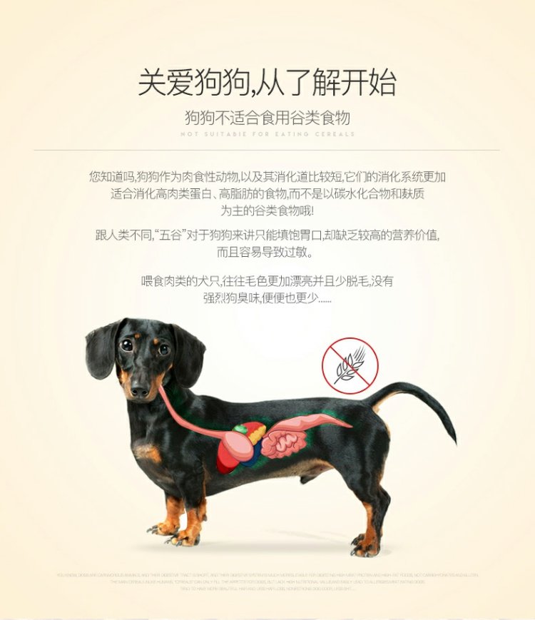 小型犬六种鱼通用犬粮1.5kg