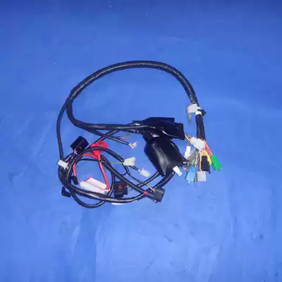 Applicable to Rui Shuang EN125-2F wire EN125-2E wire full car wire wire cable