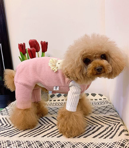 Мультяшные демисезонные флисовые штаны, в корейском стиле, осенний сезон