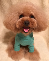 Spring and autumn dog bottoming T-shirt Joker high neck ribbed long sleeve dog inside Teddy puppy clothes