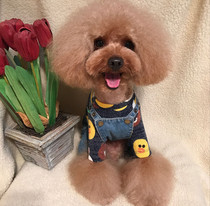 Spring and autumn dog base T-shirt wild high collar ribbed long sleeve dog base inside Teddy puppy clothes