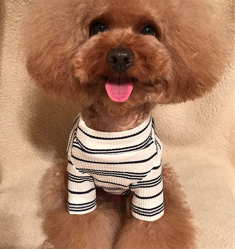 Spring and autumn dog bottoming T-shirt all-match high collar ribbed long-sleeved dog bottoming teddy puppy clothes