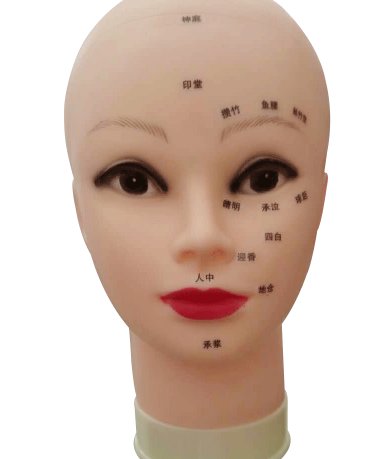 Tête mannequin - Ref 272407 Image 8