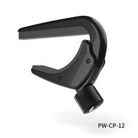PW-CP-14