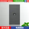 International electrotechnical type 118 concealed combination silver dark gray switch socket panel function key TV socket module