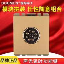International electrician Type 118 wall switch socket brushed champagne gold steel frame module sound and light control switch module