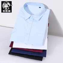 Large size mens shirt short sleeve plus fat fat fat man business dress professional wear non-iron solid color suit shirt