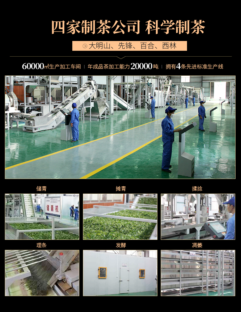 广西老字号 大明山 横县茉莉花茶特级玉螺 250g/罐 图15