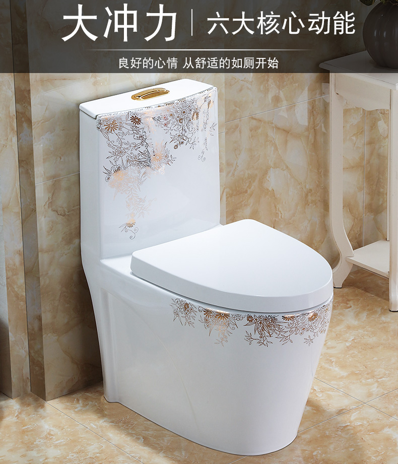 Tom Wang Jiayong ordinary toilet flush toilet small family against the stench, ceramic implement toilet water saving