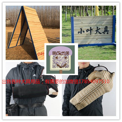 Small leaf dog with training dog supplies special supplement difference overconnection is a few dollars to shoot a few