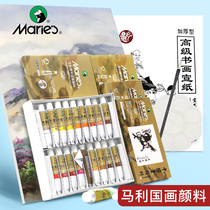 Marley brand Chinese painting pigment 12 color 24 color 12ml set pigment beginner ink painting landscape painting paint set