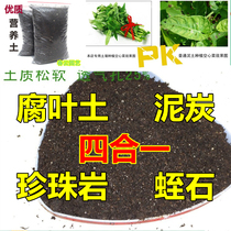  Potted nutritious soil iron tree Bamboo peony camellia moon season Aloe vera fortune tree Green dill scattered tail sunflower happiness tree etc