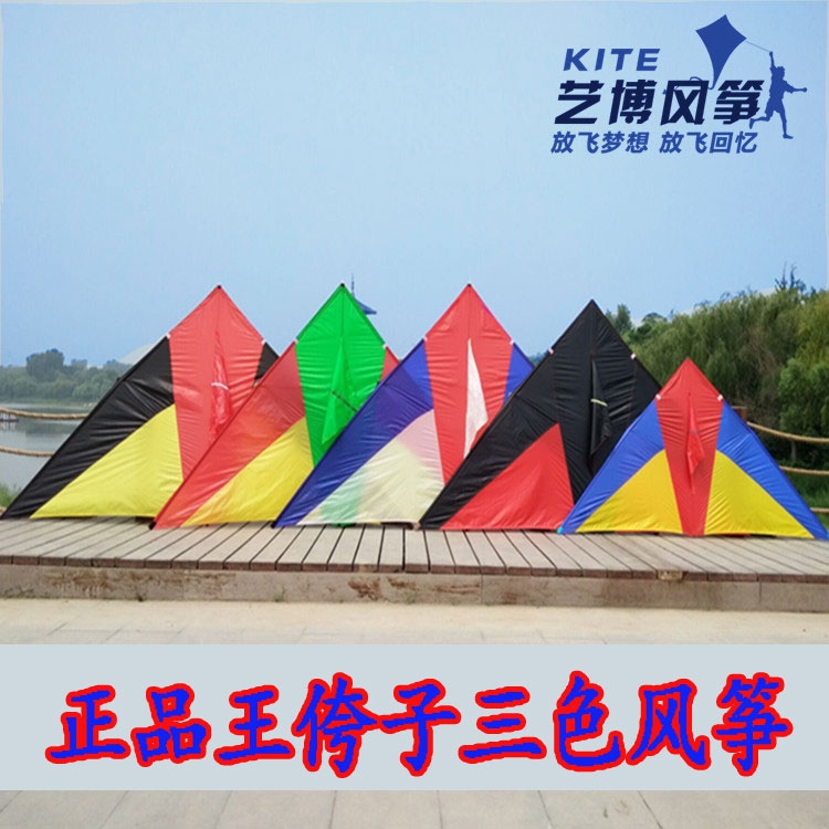 Wang Kuozi Kite 544 Soft Umbrella Cloth Carbon Rod Triangle Kite Large High-grade Luminous Kite Easy to Fly