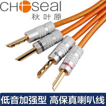 Akihabara audiophile speaker cable Audio speaker cable Huiwei M200MKII main and secondary audio cable diy cable