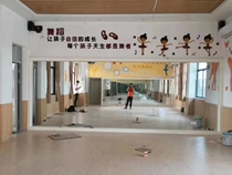 Large Dance Dance Mirror yoga mirror full body floor mirror rehearsal mirror fitness mirror