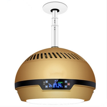 Bird Friends Mahjong Hall smoking dust removal season clean chess card mobile filter element Xuan and lift chandelier sterilization smoking smoke exhaust lamp