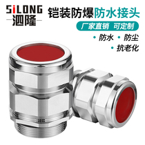 Armored explosion-proof stainless steel cable waterproof connector Copper Ge Gran head packing letter sealed M20M32 connector
