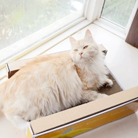Экспорт Guifei Lieing Cat Dofa Foreign Trade Cat Board Super Gurrugated Cat Barging Board Когтя извергает