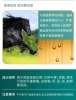 Товары от 芳香堂婧妆专卖店