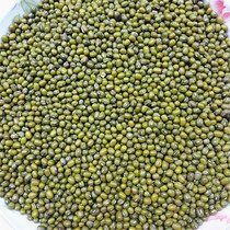 Green Bean Five Grain Cereals Small Grain Green Beans Farmhouse Self-produced Bulk 500 gr Fresh Green Beans Dry Goods 500 gr