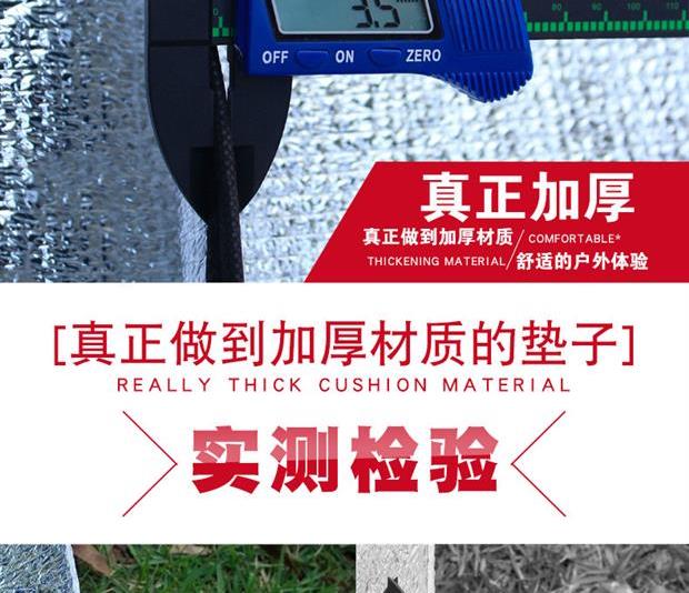 . Nệm ngoài trời lều ngủ mat ẩm pad mùa xuân cắm trại dã ngoại di động mat hoang dã dày sàn - Thảm chống ẩm / Mat / Gối thảm picnic