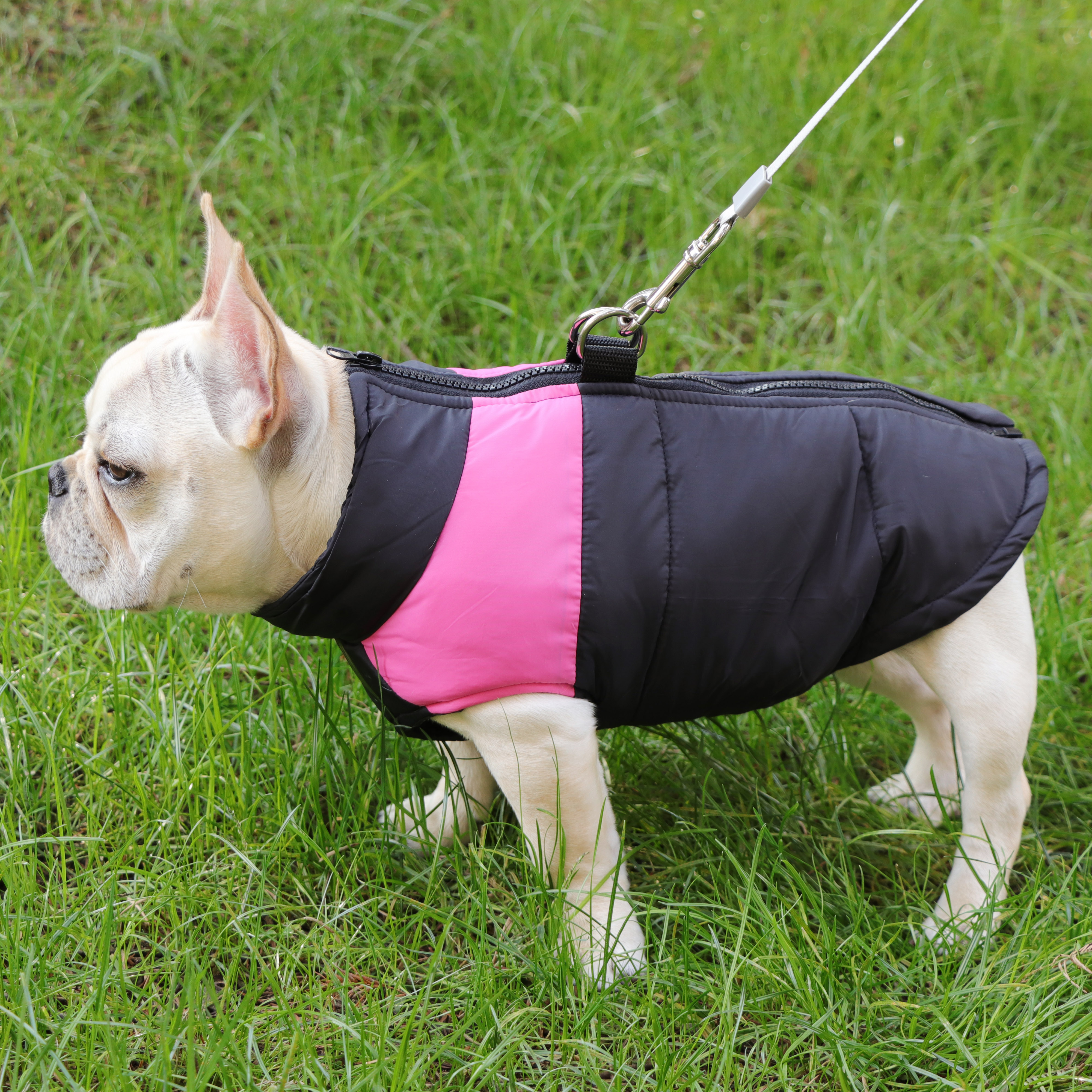 Fardou Clothes Dogs Clothes Winter Clothing Teddy Bib Bear Fardou Infighting Bargokökiri Thickened Horse Chia Warm Cotton Padded Jacket