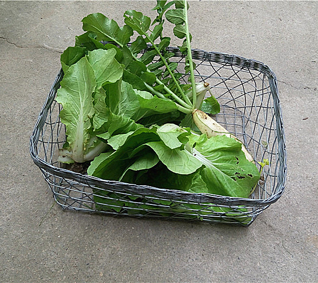 Car basket Bike Basket Stainless Steel Caravan Steel Wire Iron Basket Special Price Car Basket for wholesale