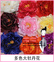 Extension cheveux - Chignon - Ref 248200 Image 12