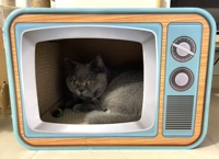 Blue TV Cat Bress Board