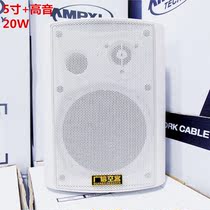 Guangxin Airbus KD-716A supermarket school meeting tweeter speaker amplifier background music wall mounted Audio