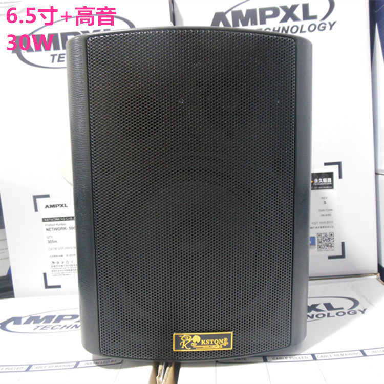 Jinshidun KD-717B supermarket school conference tweeter speaker amplifier background music wall-mounted audio
