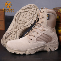 Chunqiu ultra-light high-help combat boots male special forces high-help military fans desert boots desert training boots outdoor tactical boots