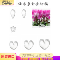 Turnover of Candy Flowers Stainless Steel Cutting Dies Import Emulation British Baking Cake Decoration Cold Porcelain Clay Fairy