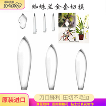 Imported Sugar Petal Stainless Steel Press Cut Mold Emulation Spider Laning Style Cold Porcelain Clay Cake Decoration