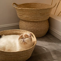 Команда Cat West Team Break Летом четыре сезона Великая доска