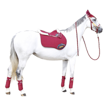 cavassion-luxury equestrian suit bridle lead rope earmuffs leggings wool pad saddle pad