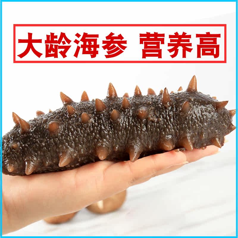 (Nutrition) Adult Large Ginseng Dalian Ready-to-eat Sea Cucumber 500g Single Loaded Marine Liao Tingling Exhibi Box