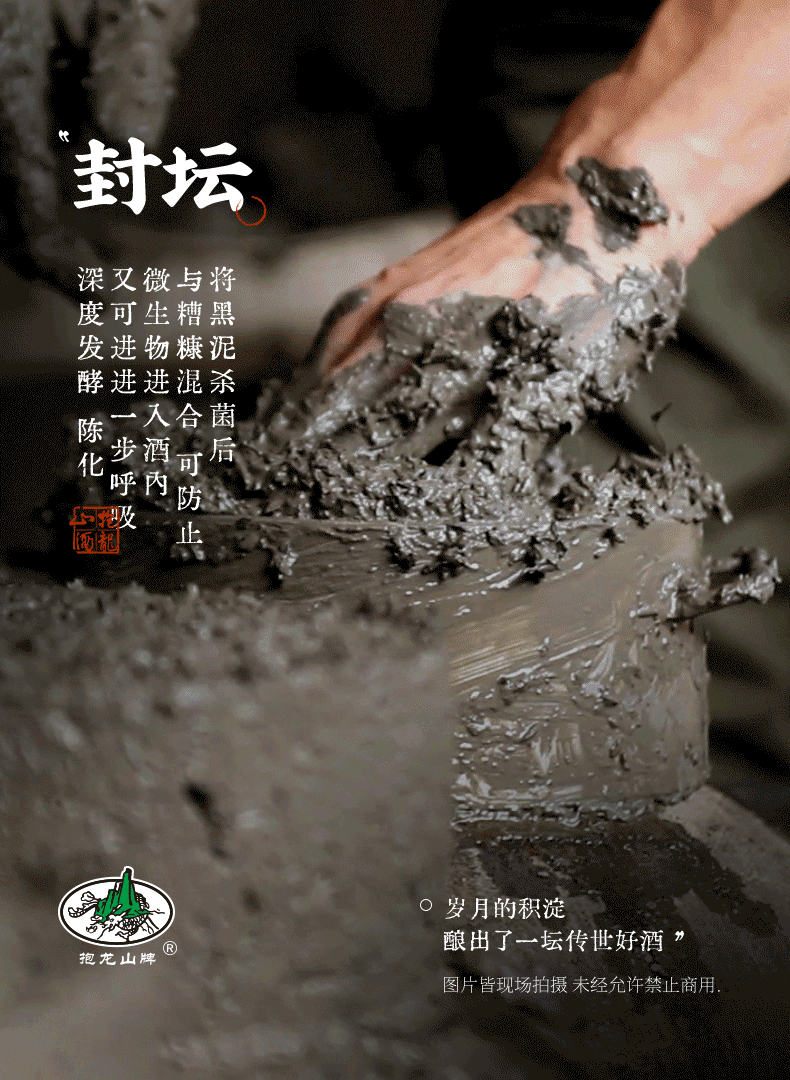 安享好物 安享S级黄酒-抱龙山十二年花雕 国标 