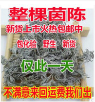 Yin chen tea dried wild vegetables Yin Chen March Mianyang Chen Artemisia 500 gr
