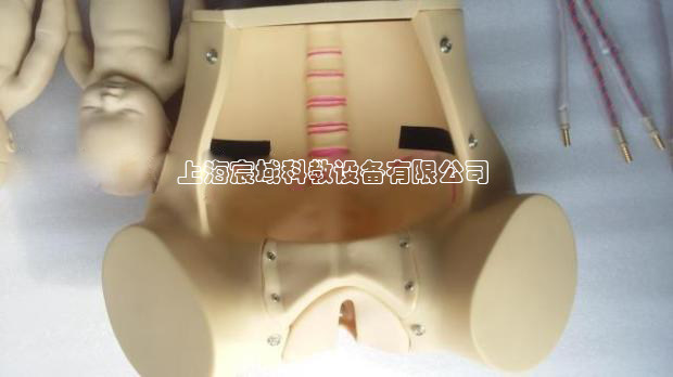 高级分娩综合技能训练模型宫颈检查会阴护理切开缝合模拟人胎儿