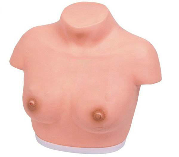 高级乳腺视诊与触诊模型