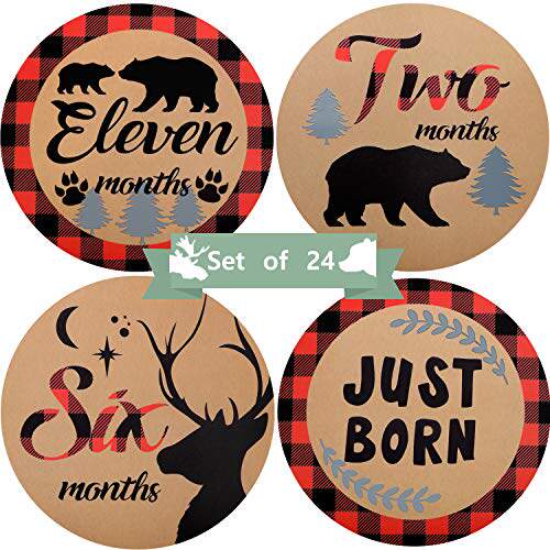 Baby Monthly Stickers 24 Pieces Woodland Bear Lumb