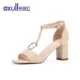 18164095 Camel 96